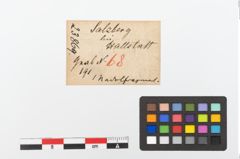 Etiketten zu Bronzeschälchenkopfnadel (NHMW-PRAE-023869)